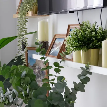 Noguera Loft 